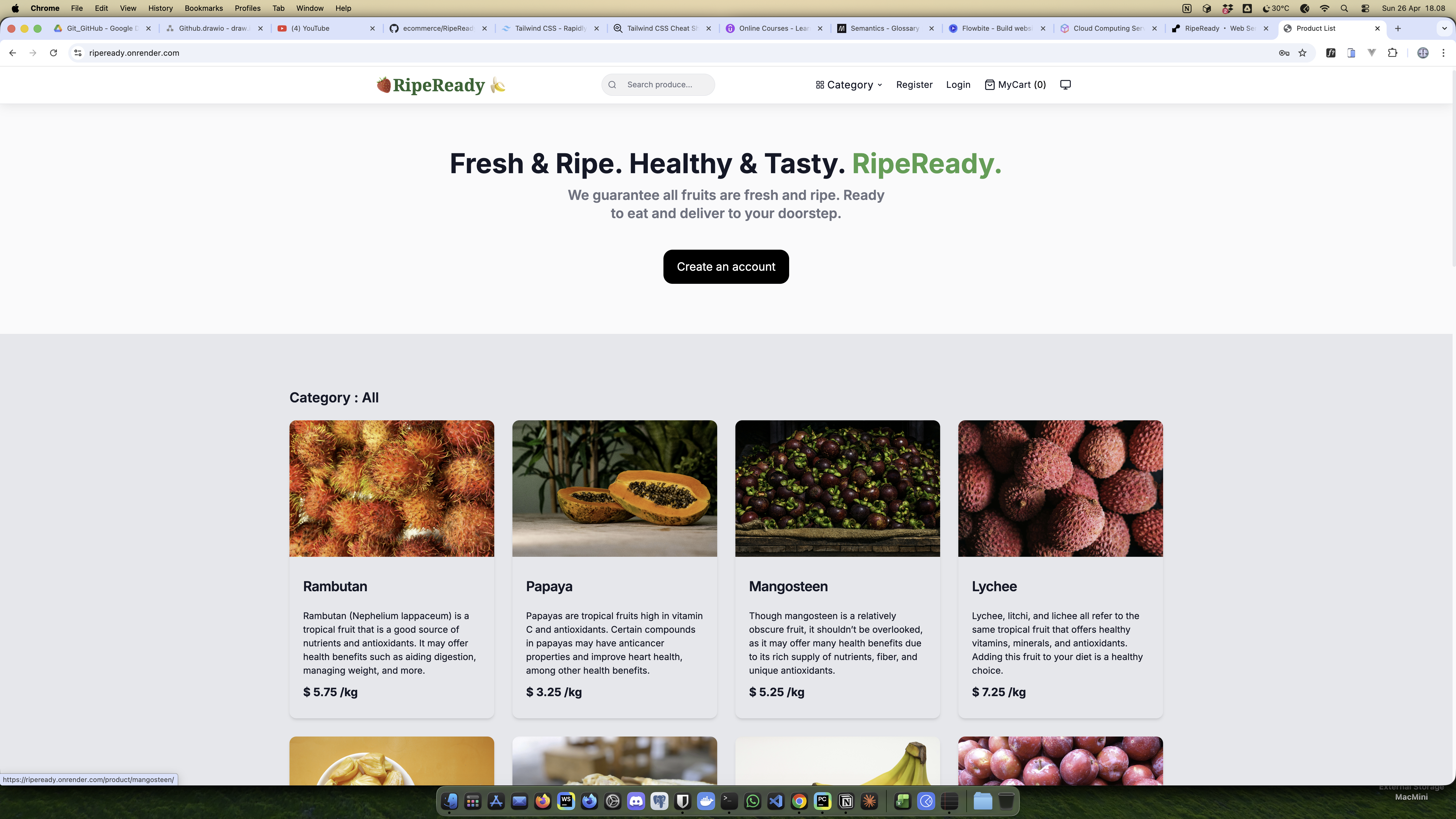 Project Portfolio Image